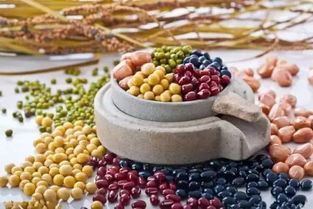 九種補鈣食品,媽媽一定要知道 后悔看晚了