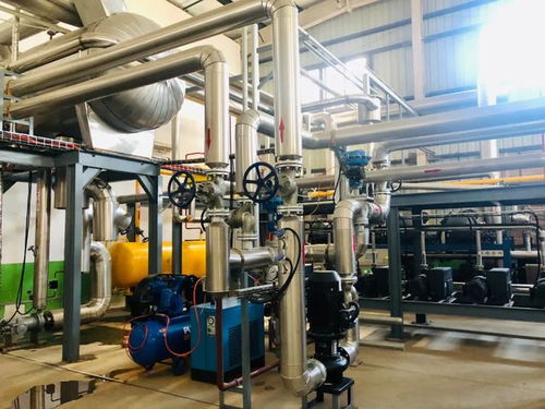 探廠國內寵物食品凍干廠,國產凍干好不好,可以親自去工廠看看啊