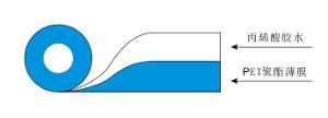 一“撕”為快 背后的“膠”科學(xué)——專(zhuān)家也用U說(shuō)馬吉的品牌成就